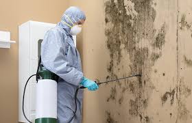 Best Dehumidification Services  in Gluckstadt, MS